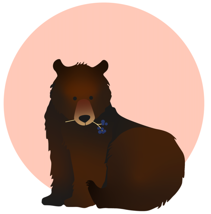 illustrated bear with berries